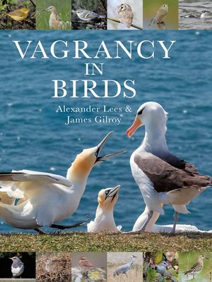 cover image of Vagrancy in Birds